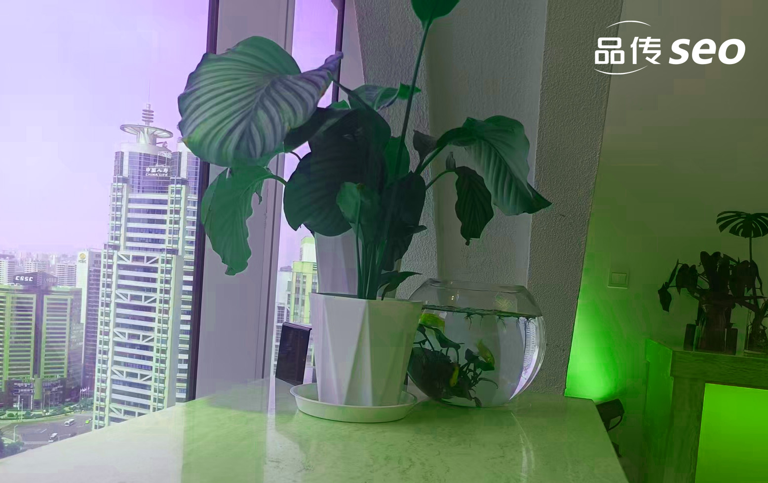 错过这波SEO红利 你的独立站可能再难翻身